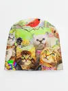 Детская шапка / КОТЫ