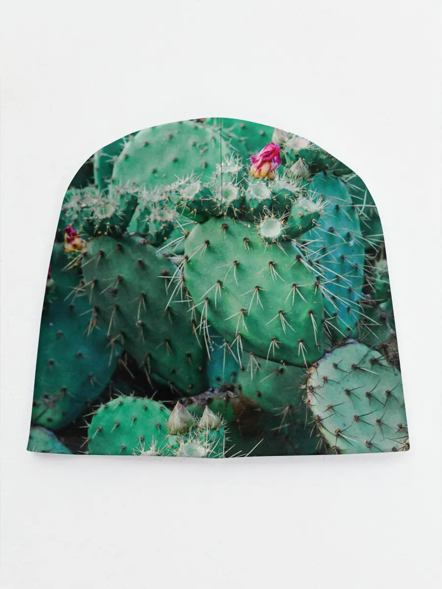 Детская шапка / кактусы с цветами реализм