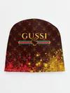 Детская шапка / GUSSI / ГУСИ