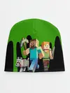 Детская шапка / minecraft