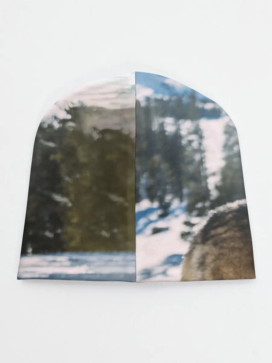 Детская шапка / Волк и снег