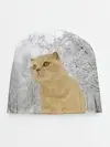 Детская шапка / Кот и снег
