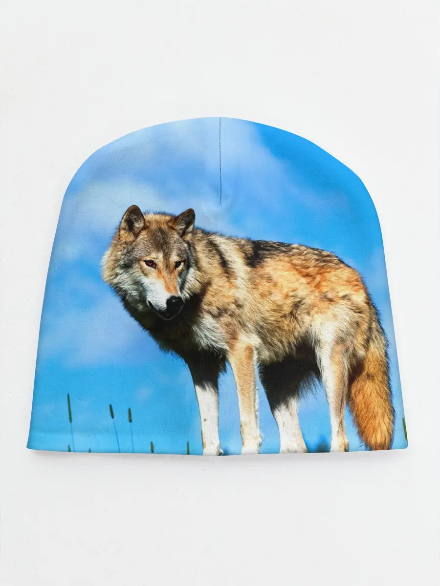 Детская шапка / Волк