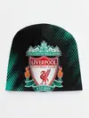 Детская шапка / LIVERPOOL / Ливерпуль