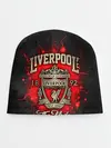 Детская шапка / LIVERPOOL FC