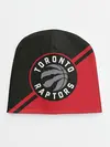 Детская шапка / Toronto Raptors BR