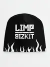 Детская шапка / Limp Bizkit