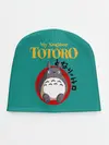 Детская шапка / Totoro