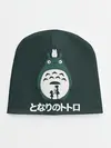 Детская шапка / totoro