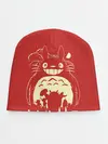 Детская шапка / Totoro