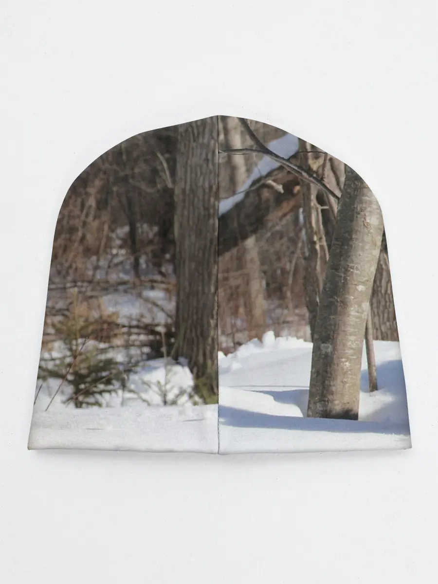 Детская шапка / Волк лежит на снегу