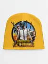 Детская шапка / PUBG