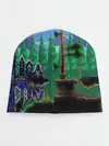 Детская шапка / TERRARIA