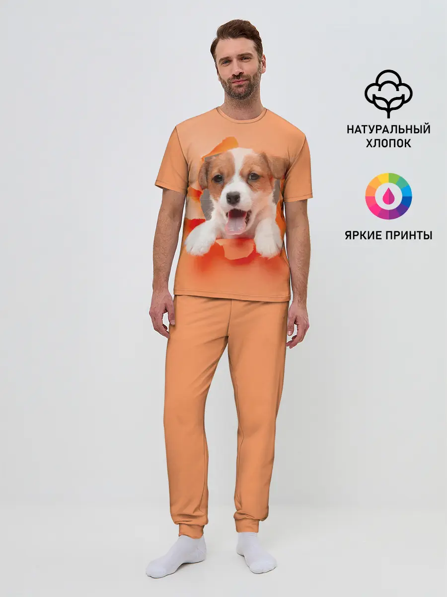 Мужская пижама с брюками / Собака