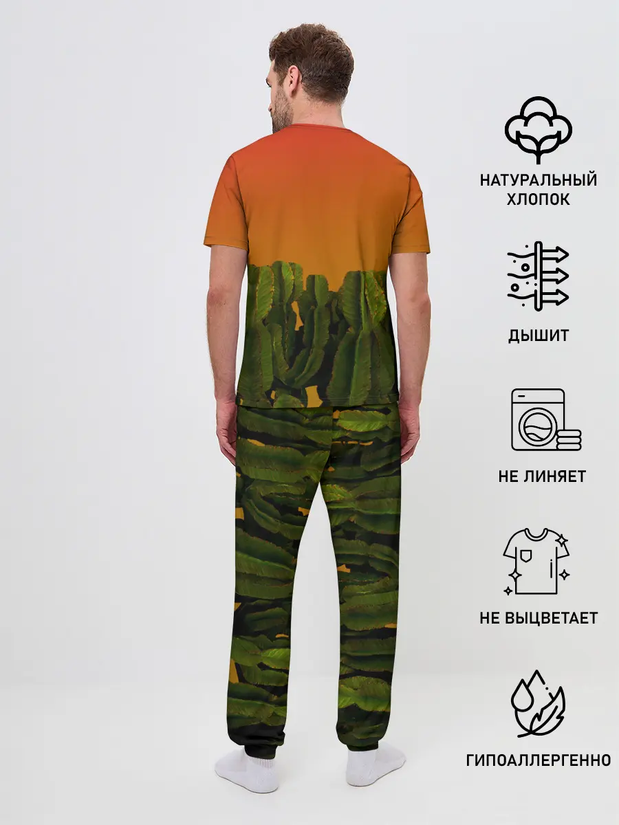 Мужская пижама с брюками / Кактусы на закате