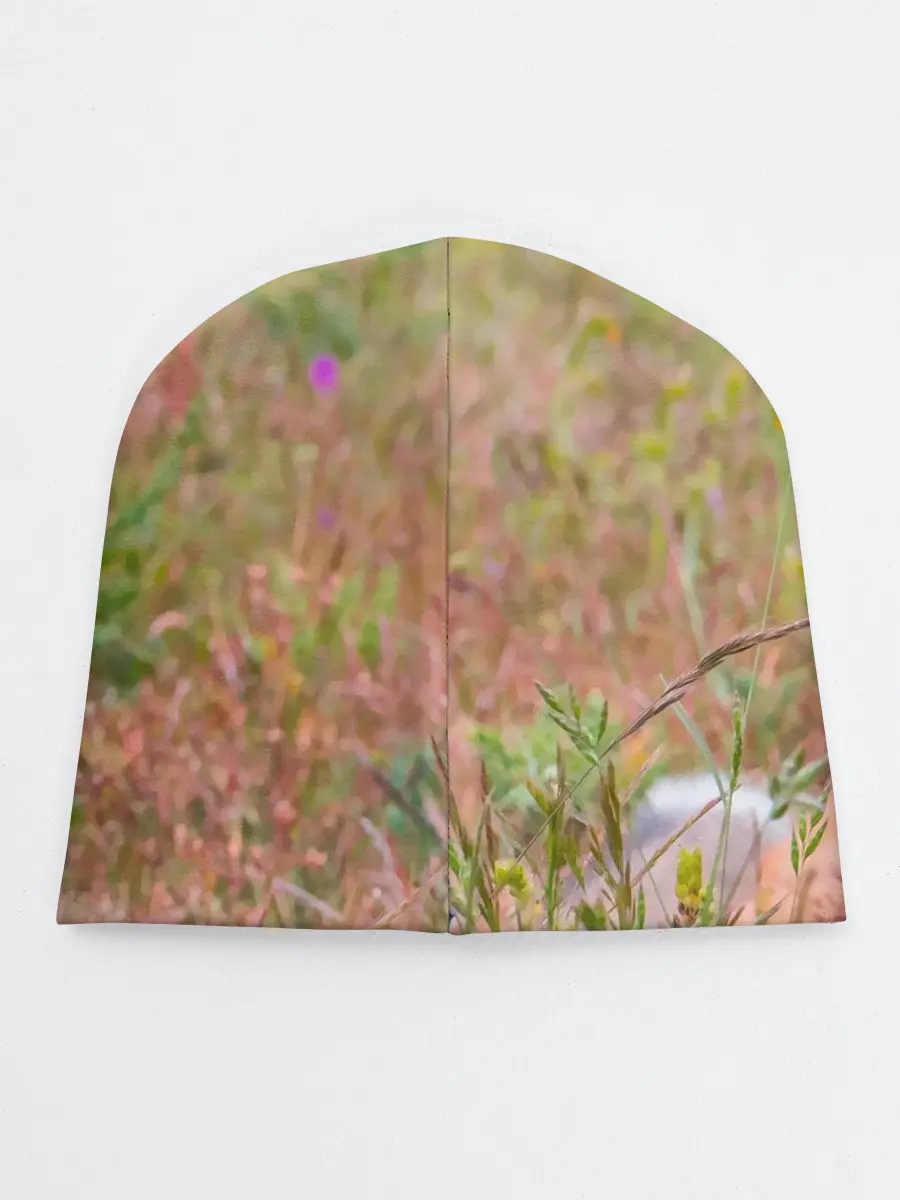 Детская шапка / Лисичка