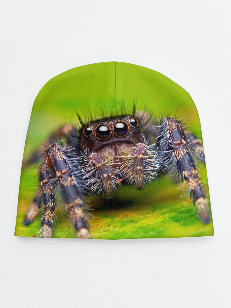 Детская шапка / ПАУК МАКРО