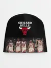 Детская шапка / CHICAGO BULLS [3]