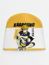 Детская шапка / Хината Шоё | Haikyuu!!