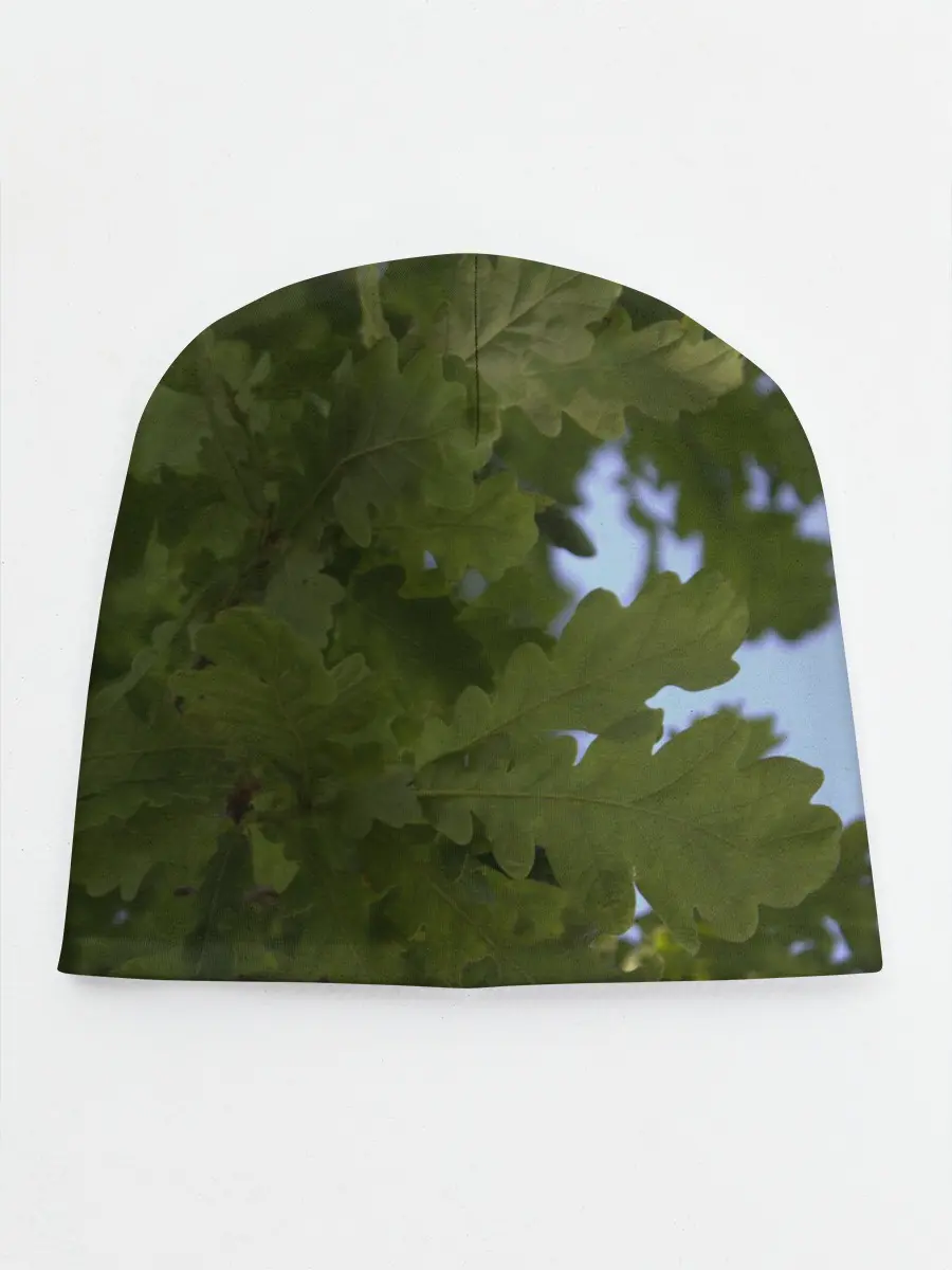 Детская шапка / Летние дубы