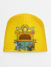 Детская шапка / Simpsons nation