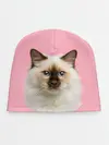 Детская шапка / Пушистый кот