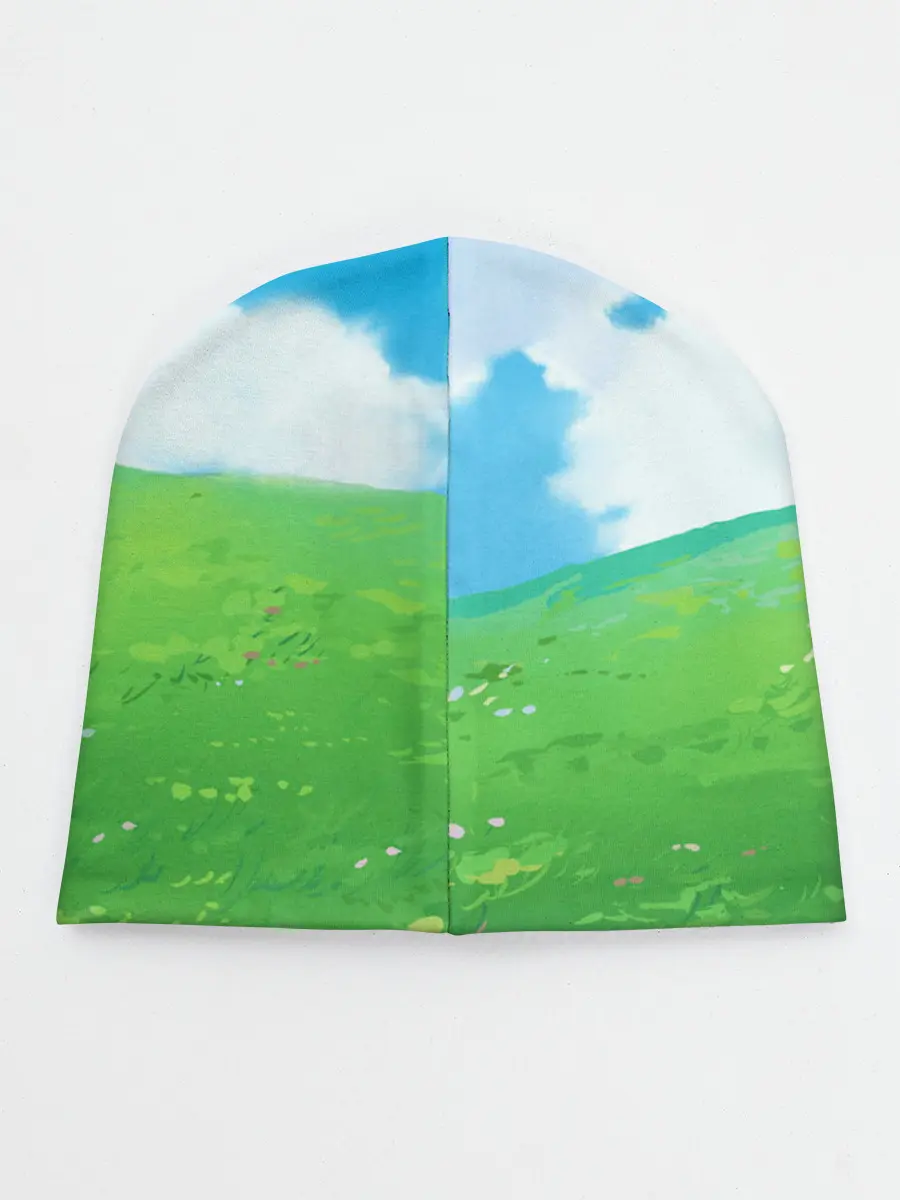 Детская шапка / Echidna