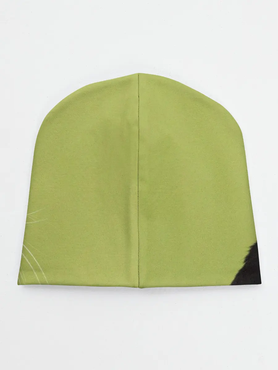 Детская шапка / Кот и цветы