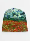 Детская шапка / Поле с маками, Ван Гог