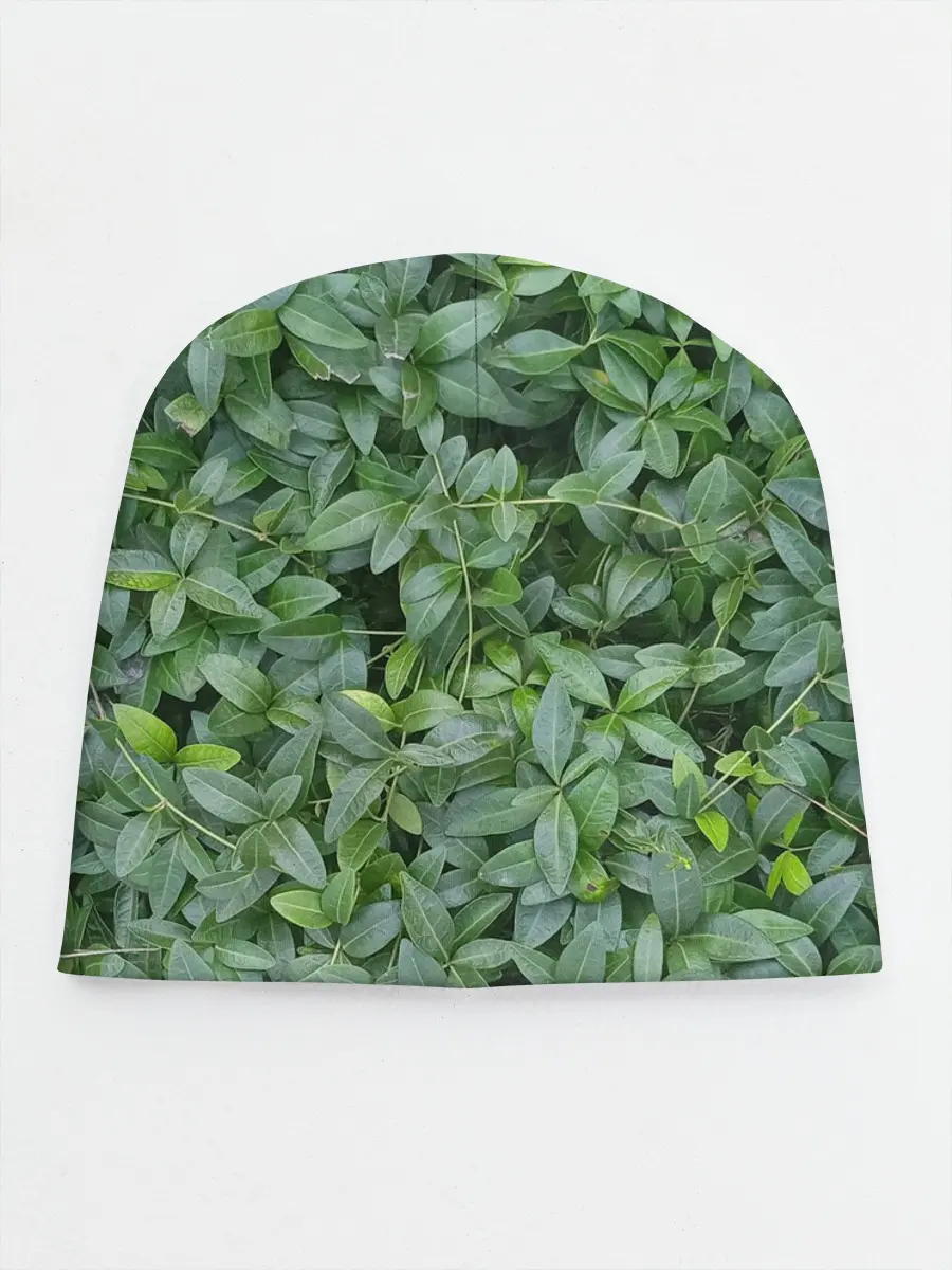 Детская шапка / Барвинок