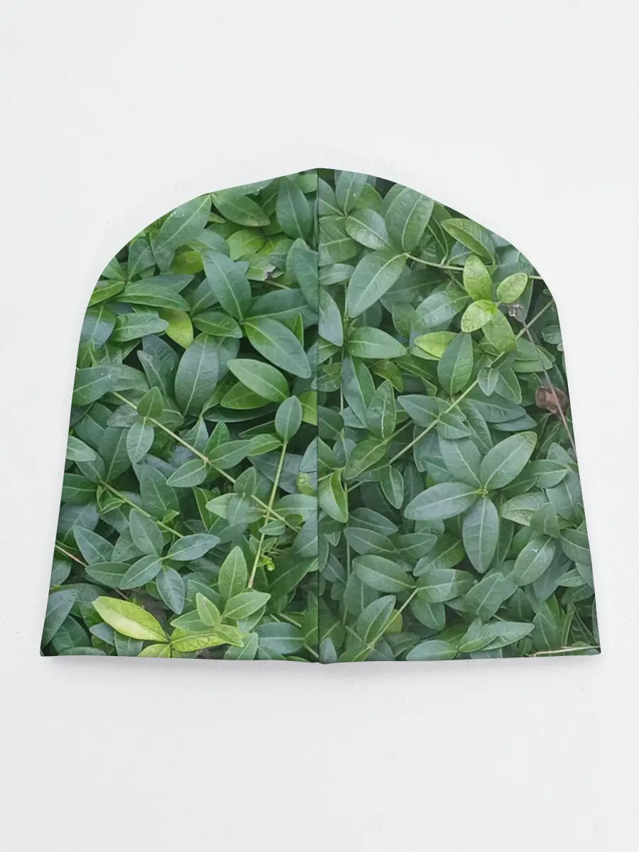 Детская шапка / Барвинок