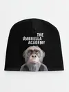 Детская шапка / Пого | Академия Амбрелла