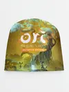 Детская шапка / Ori and the Will of the Wisps