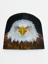 Детская шапка / Белоголовый орлан