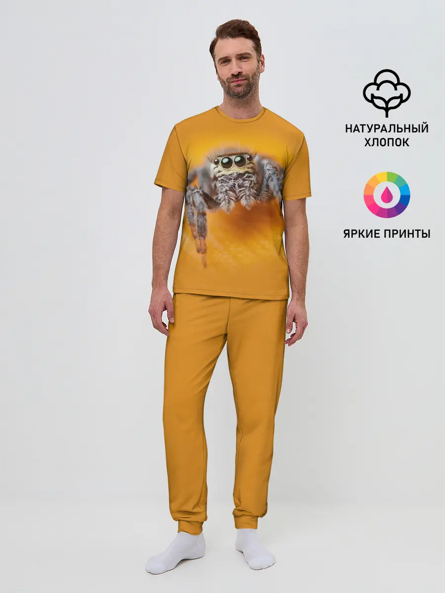 Мужская пижама с брюками / ПАУК / SPIDER