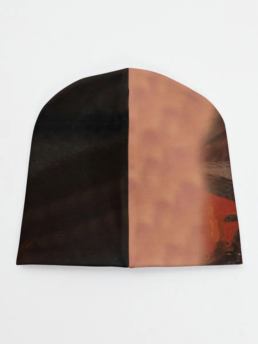 Детская шапка / Как приручить дракона