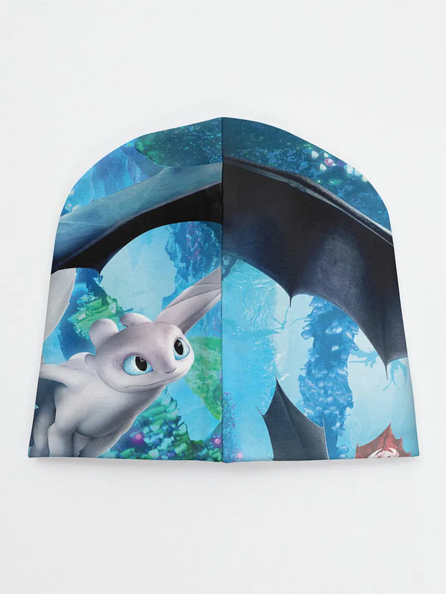 Детская шапка / Как приручить дракона 3