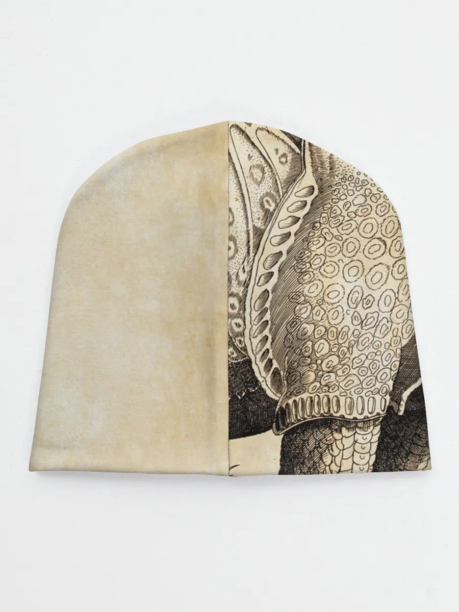 Детская шапка / Носорог