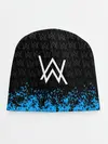 Детская шапка / ALAN WALKER