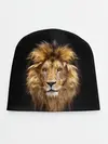 Детская шапка / Лев