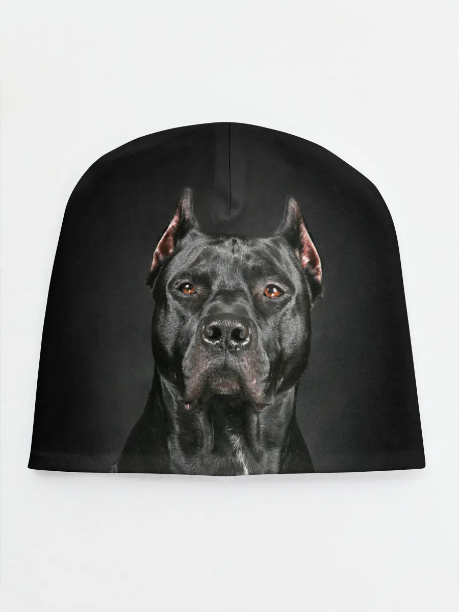 Детская шапка / Питбуль