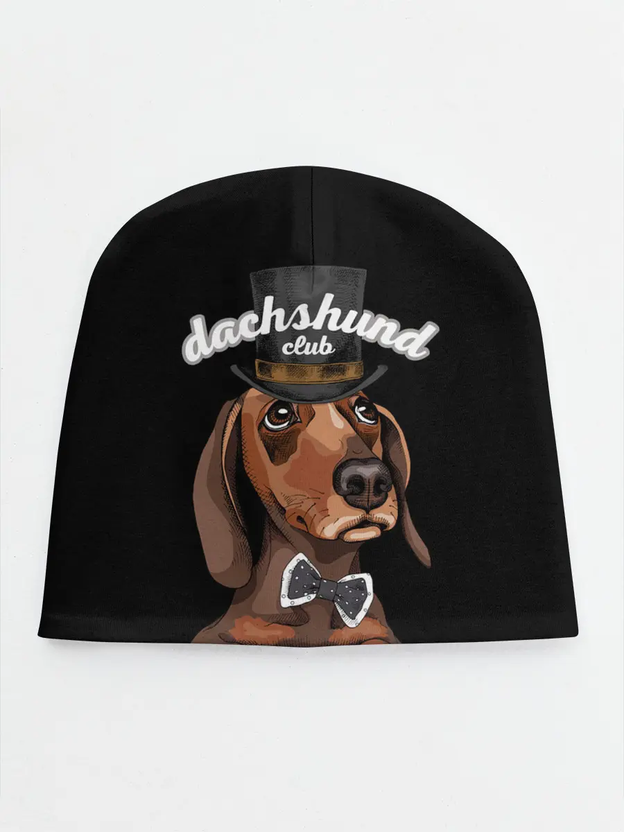 Детская шапка / Такса в цилиндре