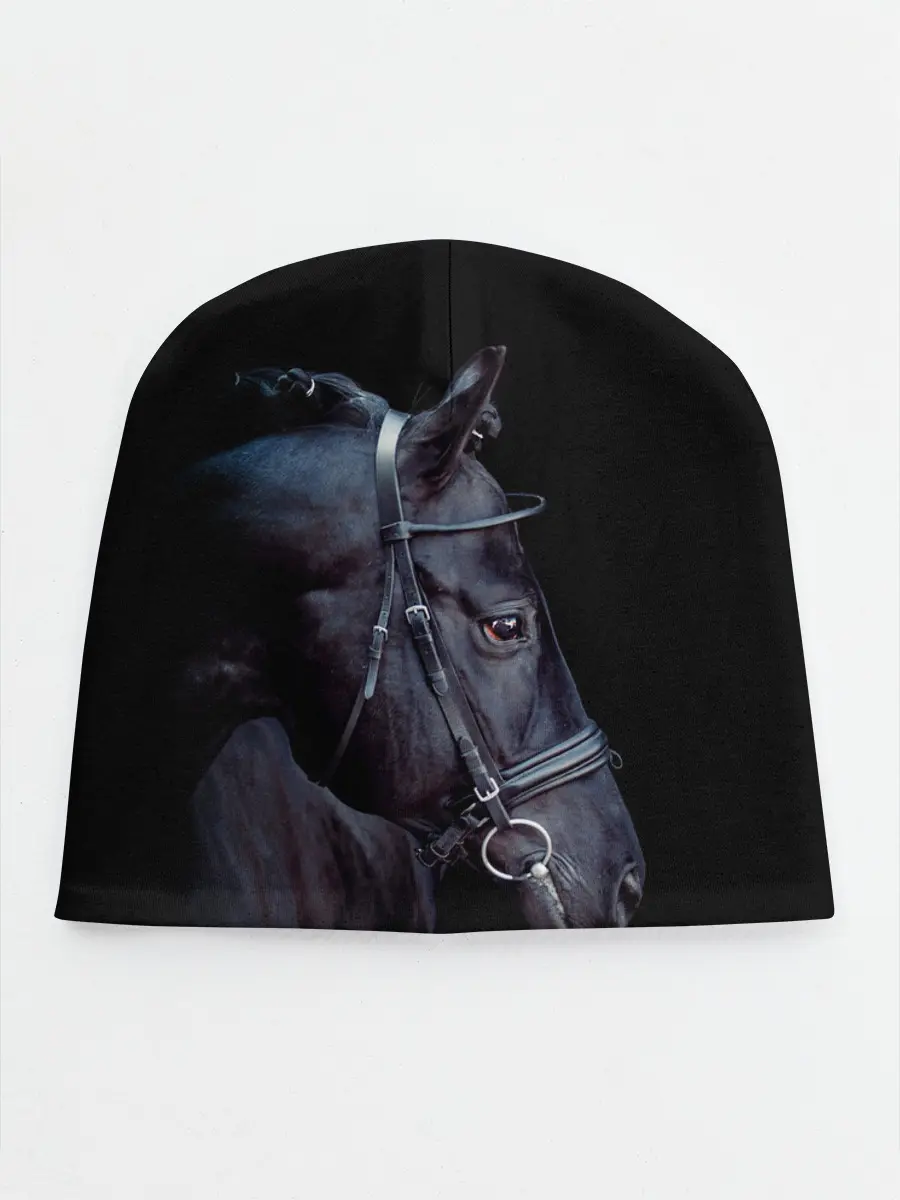 Детская шапка / Конь вороной