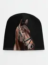 Детская шапка / Гнедая лошадь