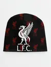 Детская шапка / Liverpool