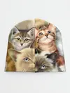 Детская шапка / Котишики