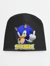 Детская шапка / Sonic