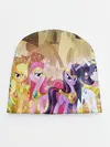 Детская шапка / PONY