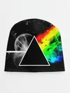 Детская шапка / PINK FLOYD