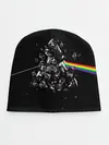 Детская шапка / PINK FLOYD